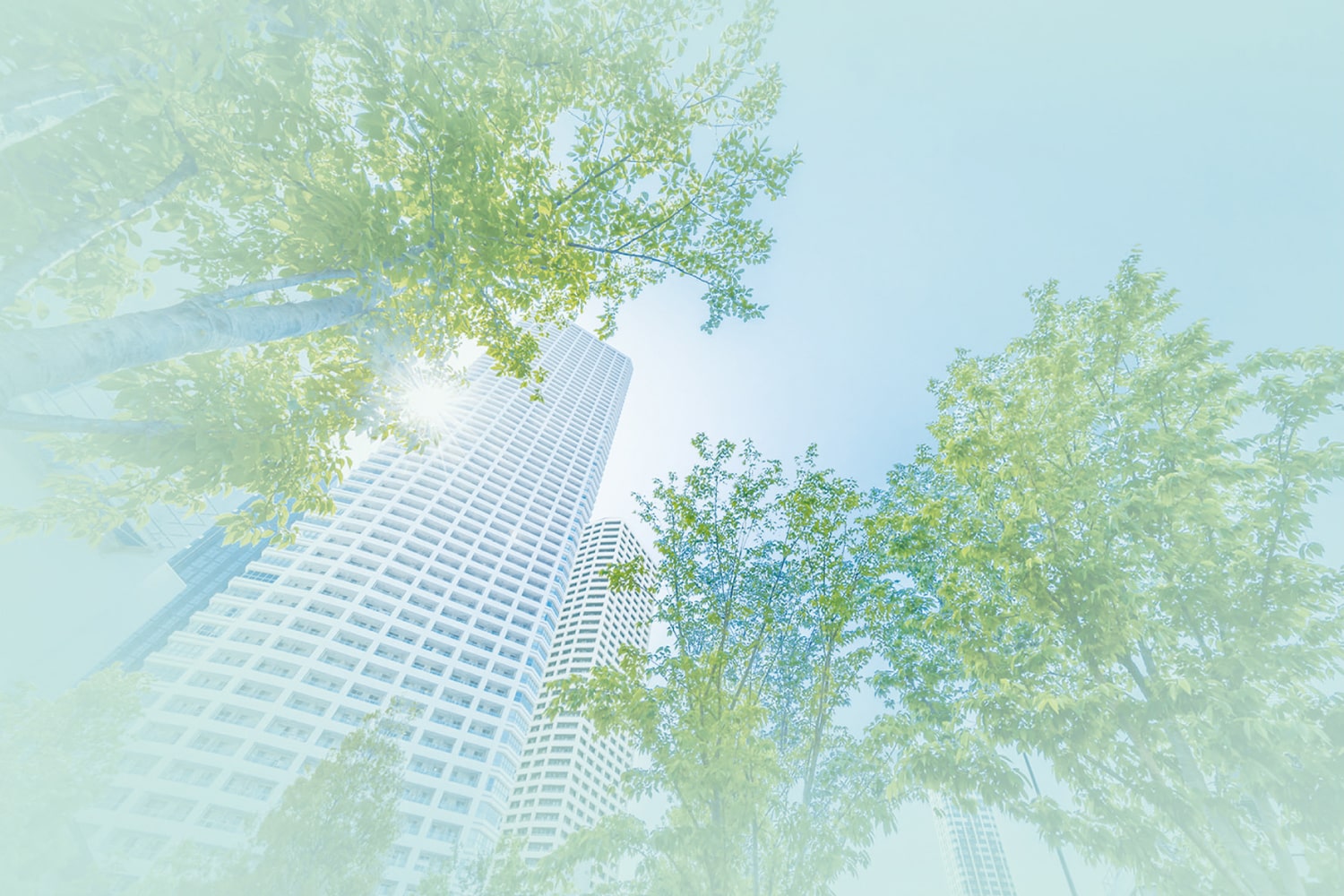 株式会社スタジオ205